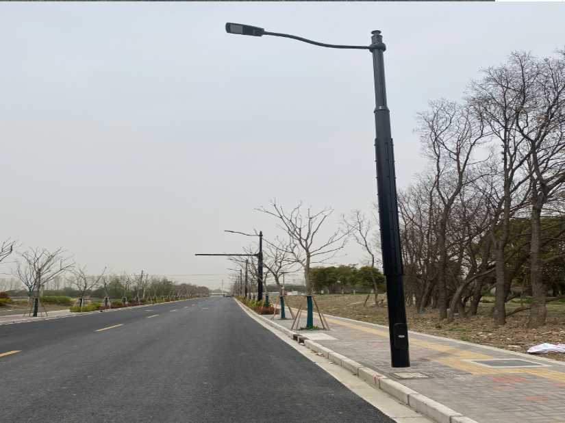 永康市上海综合杆 太阳能路灯工程